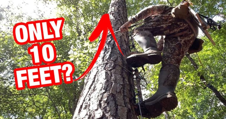 How Many Climbing Sticks Do I Need for Saddle Hunting?