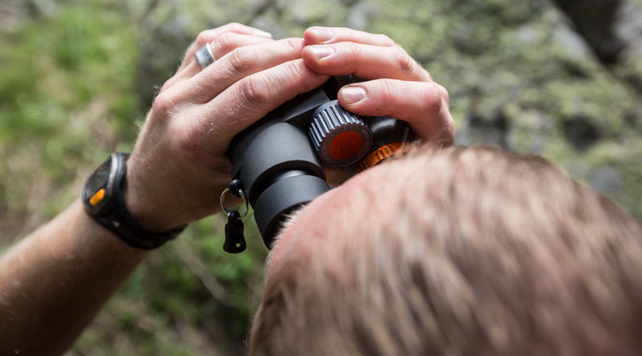 Top view of someone looking through a pair of binoculars.