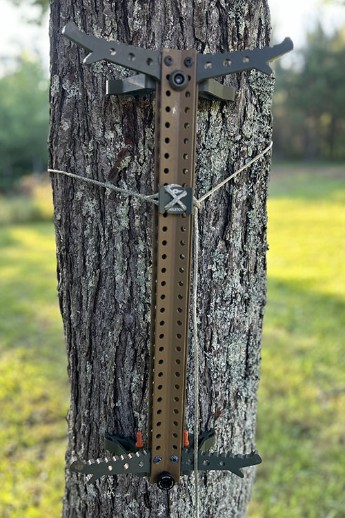 Tethrd Skeletor climbing stick mounted on a tree in a yard.