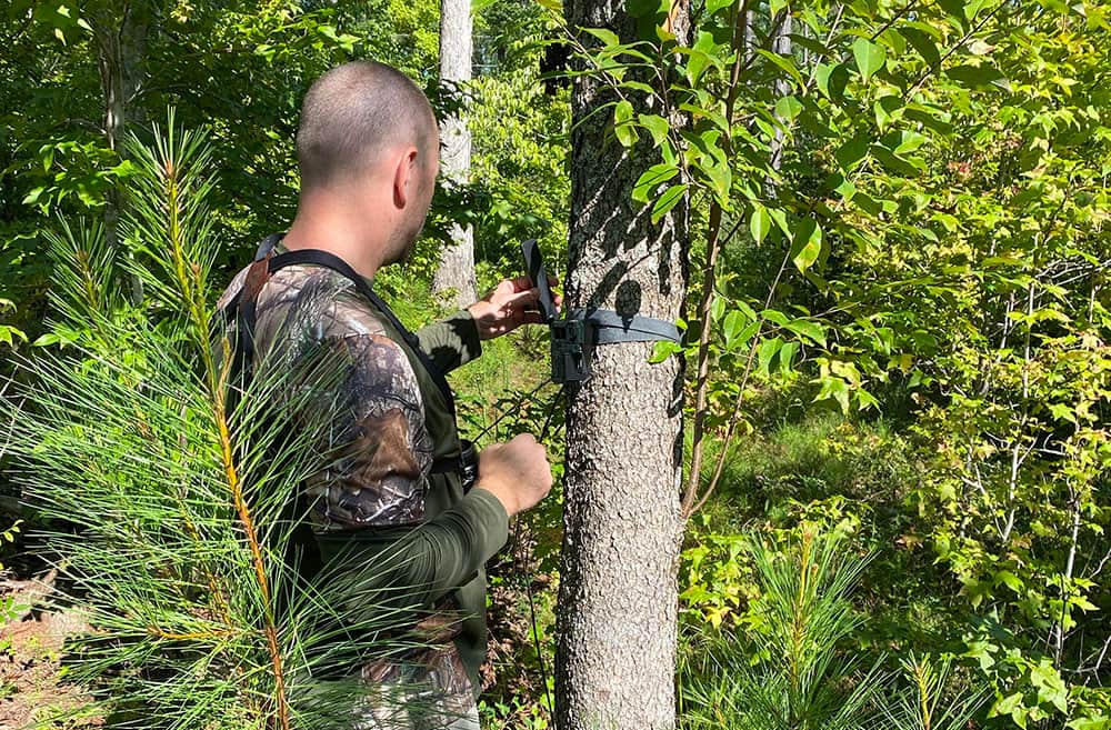 5 Summer Tips for Fall Deer Hunting Success